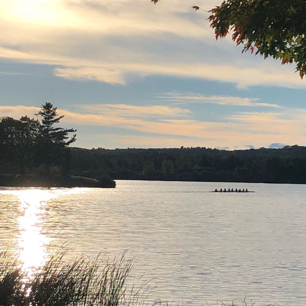 Meet your Posher, Monique